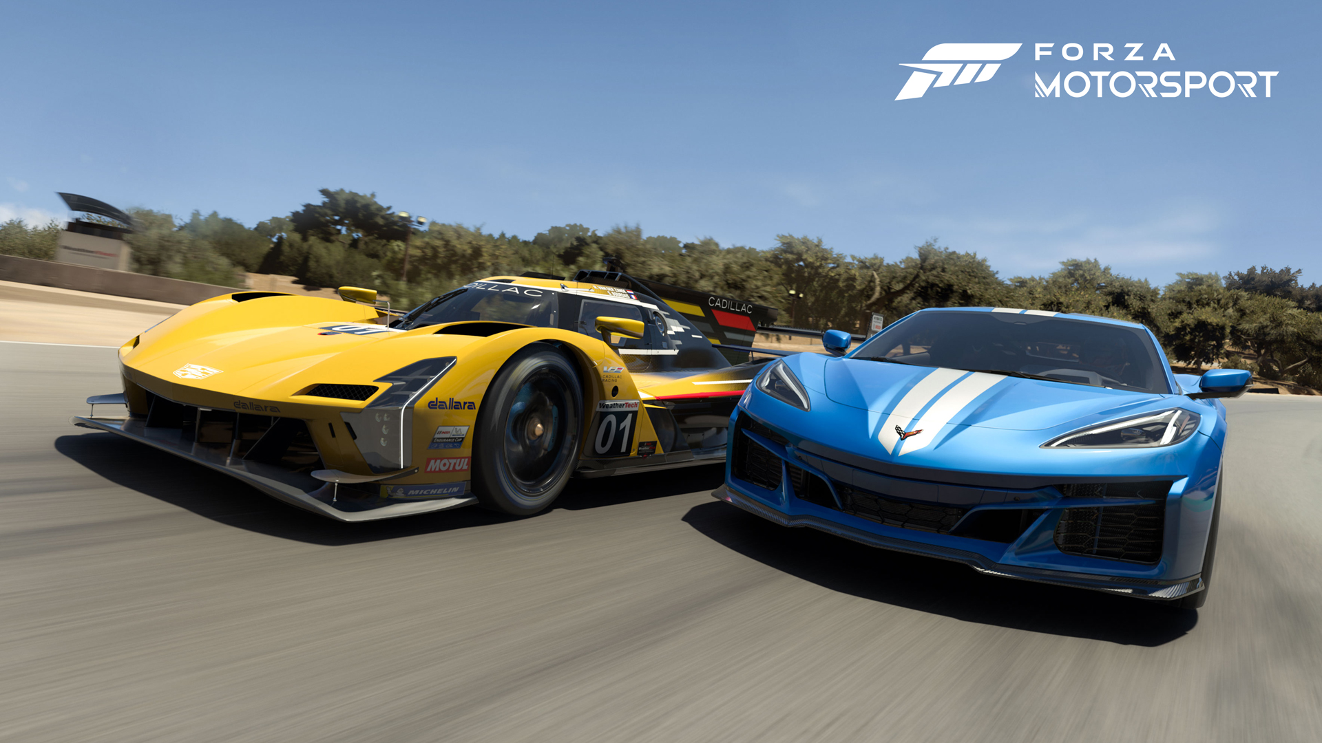 Forza motorsport review: a complete take a look at the present day racing phenomenon